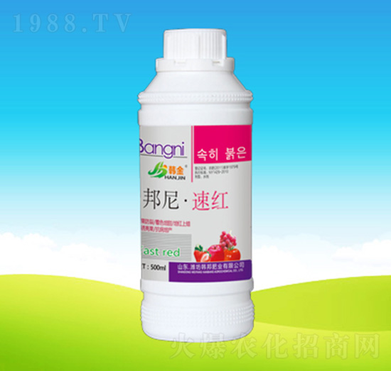 ���ᡤ�ټt-�n��ʘI(y��)