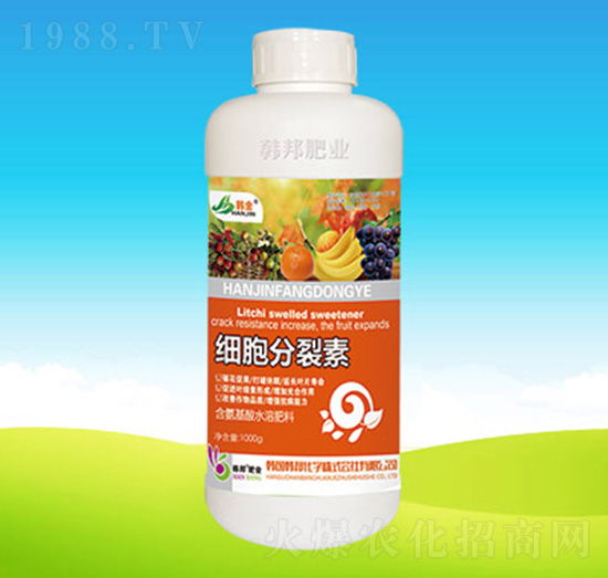 ��(x��)�������أ�1000g��-�n��ʘI(y��)