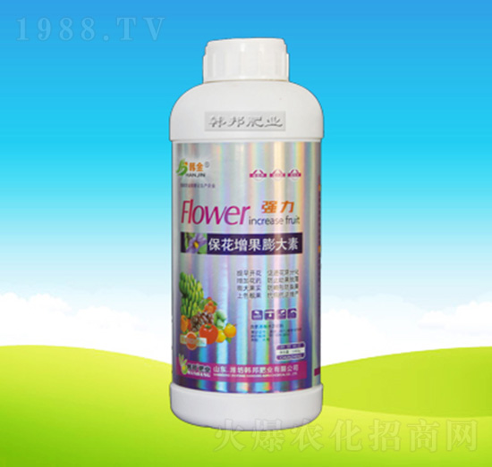 �������������-�n��ʘI(y��)