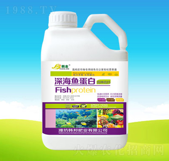 ��~(y��)����-�n��ʘI(y��)