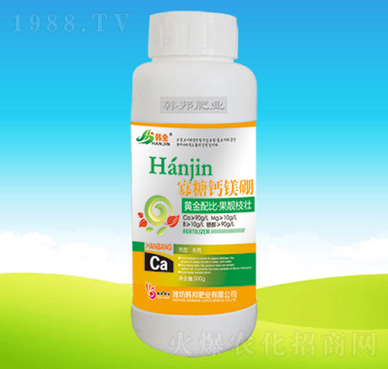 �����}�V��-�n��ʘI(y��)