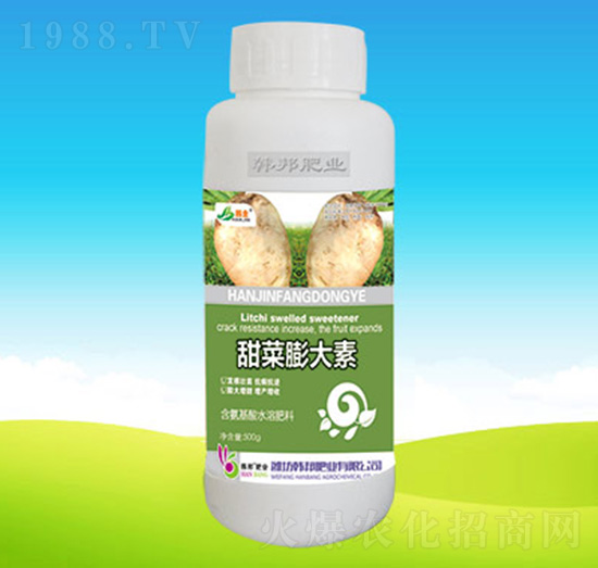 ��������-�n��ʘI(y��)