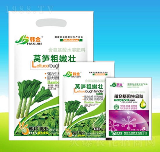 萵筍粗嫩壯-韓邦肥業(yè)