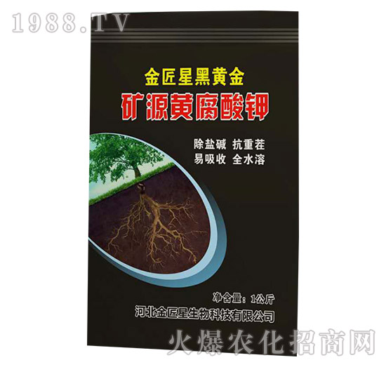 �VԴ�S�����-���Ǻ��S��-����