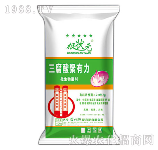 �����������΢�������-����Ԫ-��W(w��ng)(li��n)