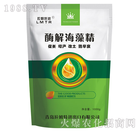 ø�⺣�徫-��ķ�؝�