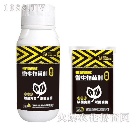 ˪�ߌ���΢�������-ֲ������-������