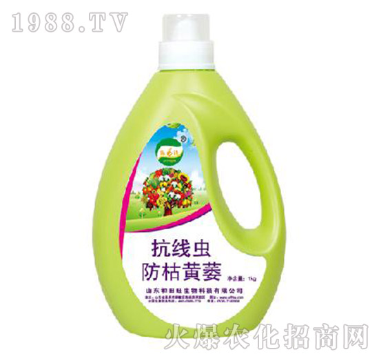 �����x�����Sή-����������