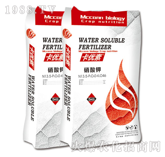 ����(y��u)�������-��������