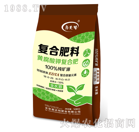 �S����⛏ͺϷ�18-6-26-�R���