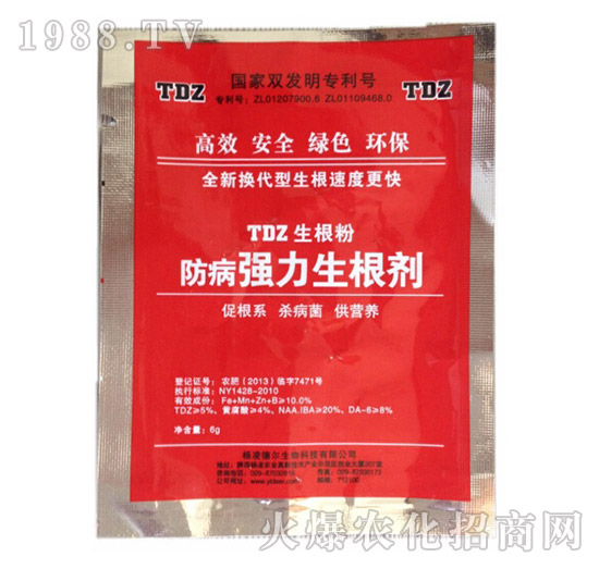 ������(qi��ng)��������-��?t��ng)����? style=