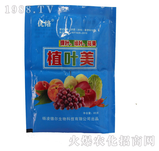 ��(y��u)�jֲ�~��-� �����