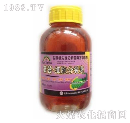 �|̦��(x��)��������-��?t��ng)����? style=