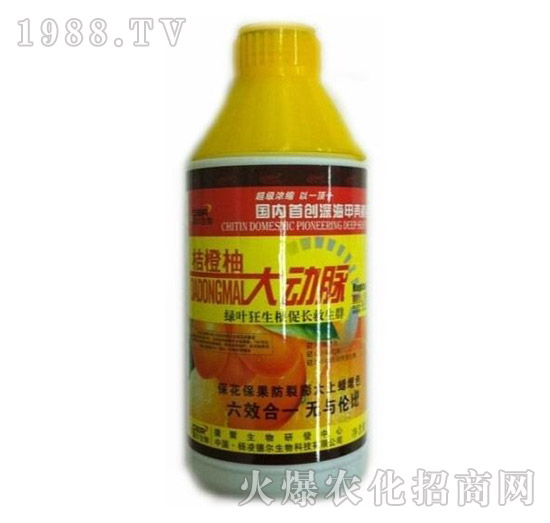 �۳��ִ���}-� �����