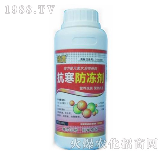 ����������-ֲ��-� �����