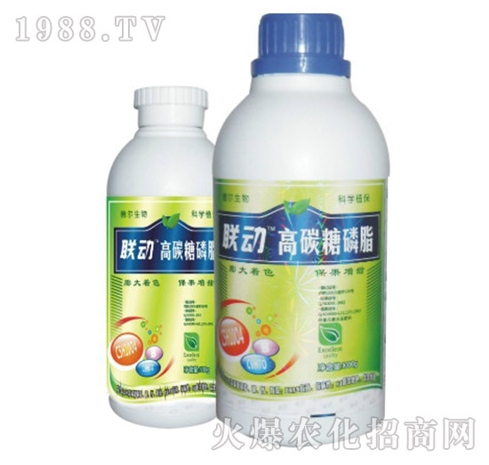 ��̼����֬-(li��n)��(d��ng)-� �����