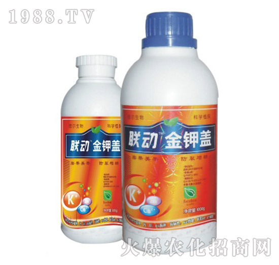 ����w-(li��n)��(d��ng)-��?t��ng)����? style=