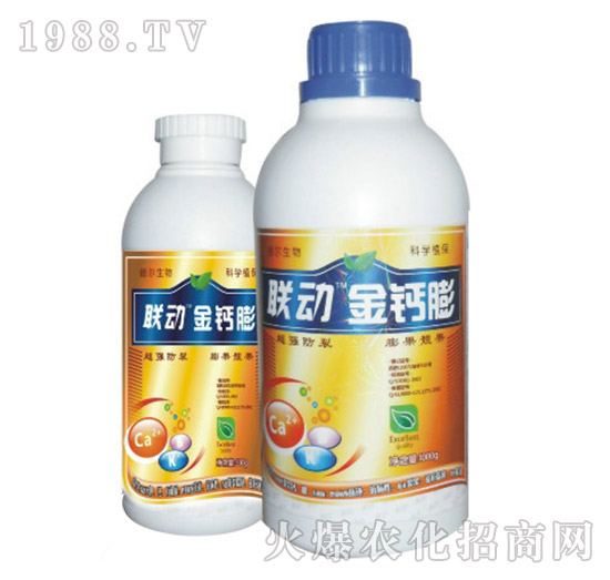 ���}��-(li��n)��-� �����