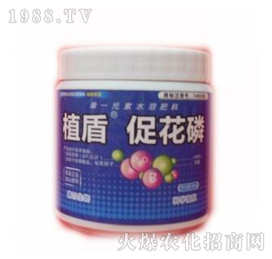 �ٻ���-ֲ��-��?t��ng)����? style=