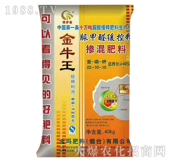 ���ȩ����ጓ������22-10-10-��ţ��-��