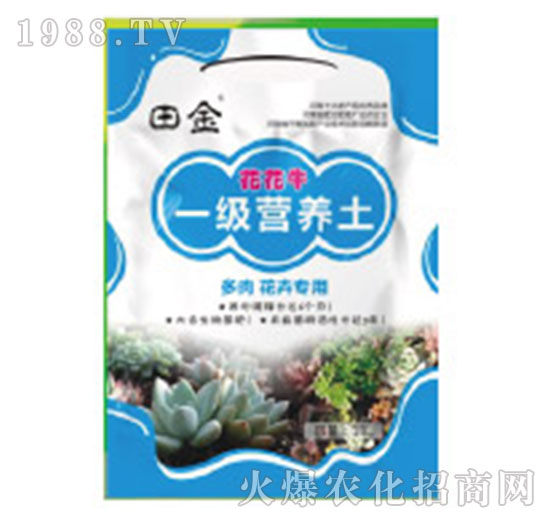 һ��(j��)�I�B(y��ng)��-����ţ-�������