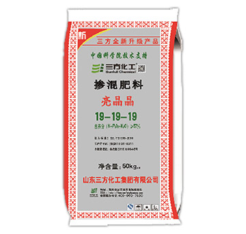 CS008���w⛓������19-19-19-��������