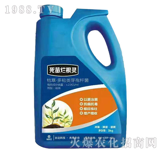 ���砀���`-�_(t��i)�_(d��)