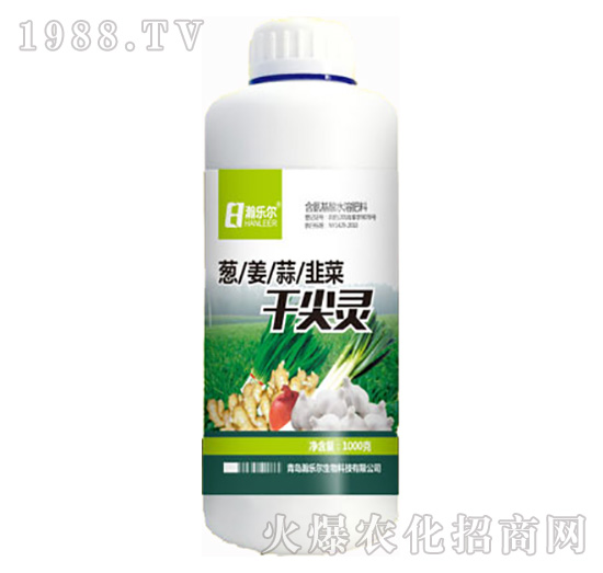 �ɼ��`-嫘�(l��)��