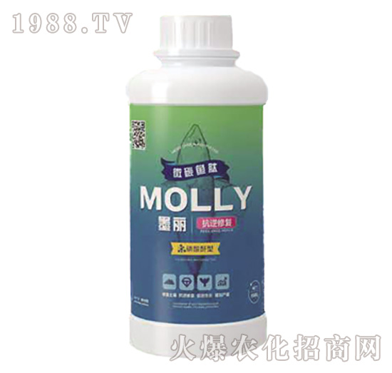 ī�������ޏ�-����