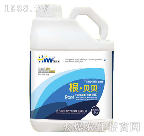 ��Ȼ����������-����ؐؐ-�����S