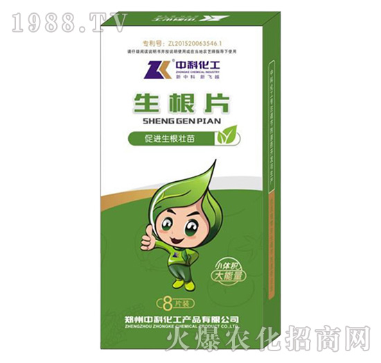 ����Ƭ-�пƻ���