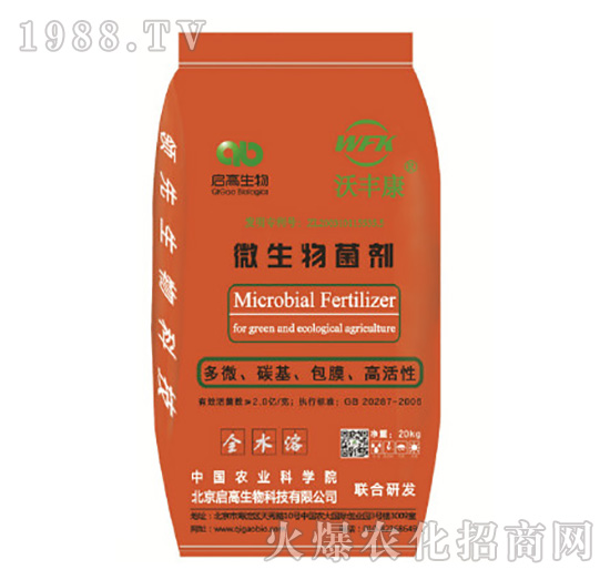 ΢�������-���S��-��������