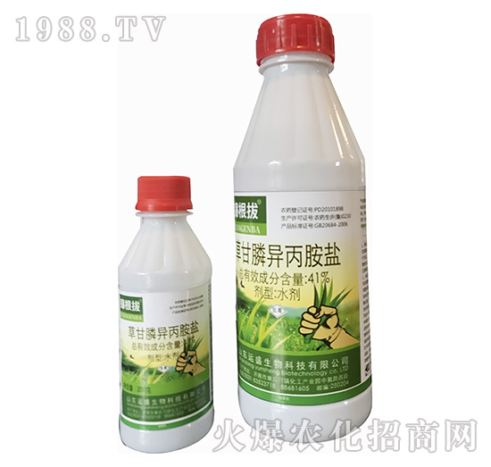 41%�ݸ�좮������}-砸���-�\ʢ����