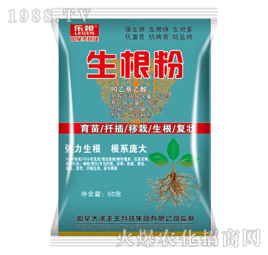 ������-��(l��)��-���S��