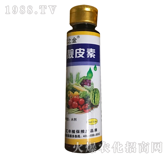 �nƤ��-��֮��-�R�Sֲ��