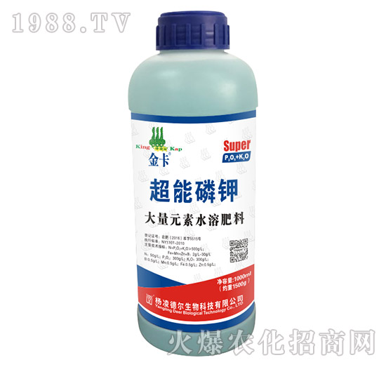 �������-��-� �����