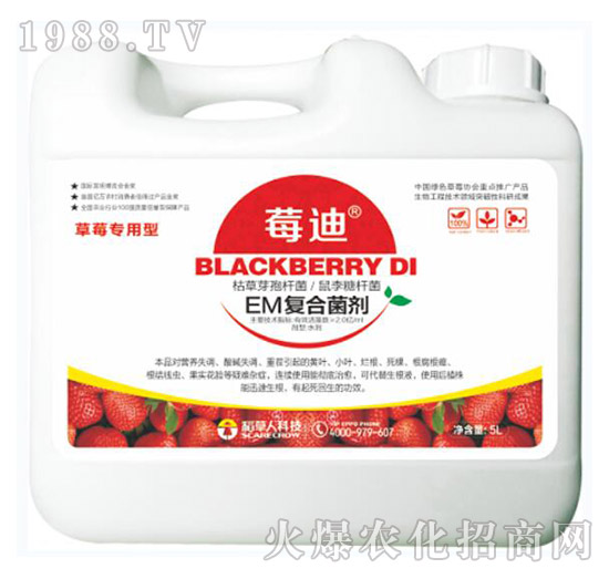 EM�ͺϾ���-ݮ��-������