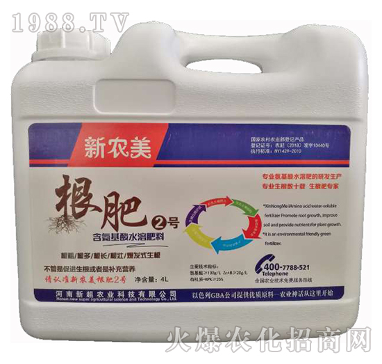 ����2̖-���r��-�³�