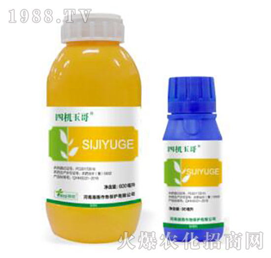 33%���ס�ݬ������-�ęC(j��)���-�˹����