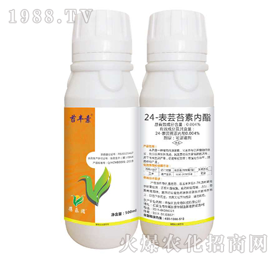 24-���|̦�؃�(n��i)����500ml��-�|�S��