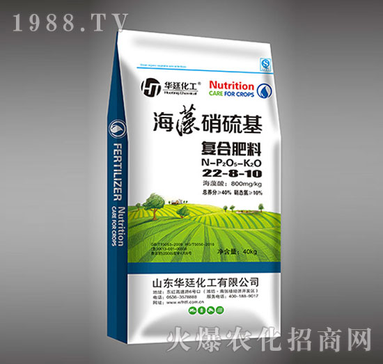 ���������22-8-10�ͺϷ���-�A͢����