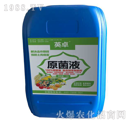 ԭ��Һ-Ӣ׿-������