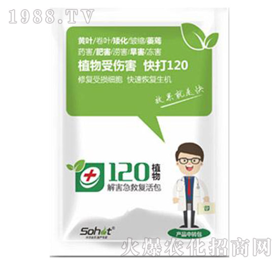 �⺦���ȏ�(f��)���-ֲ��120-���A����