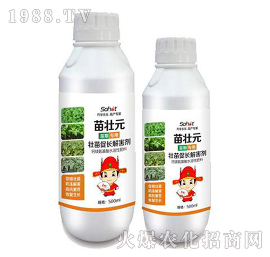 ������L�⺦��-���Ԫ-���A����