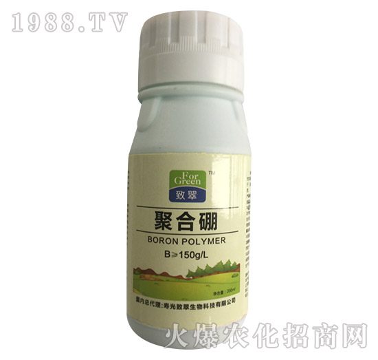 �ۺ���-�´�����