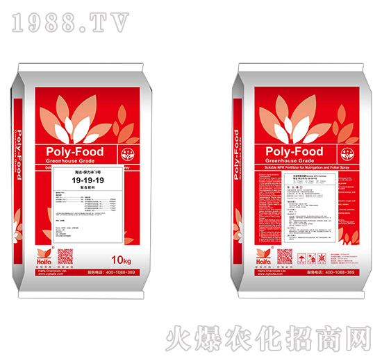 ��(f��)�Ϸ���19-19-19-�����S1̖-����