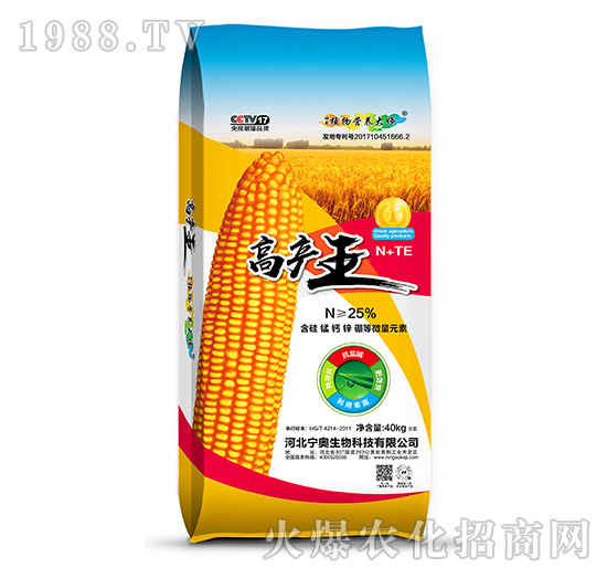 �߮a��-���W����