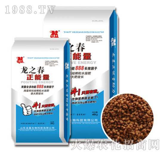 ������-��֮��-��������