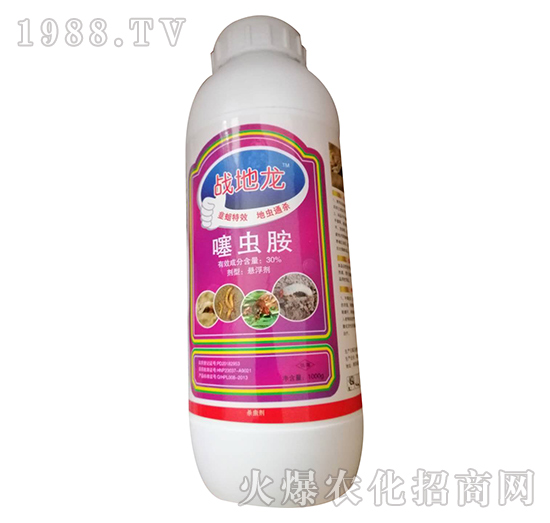 30%���x��-��(zh��n)����-�W�ρ�