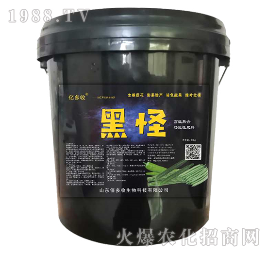 �ڹ�-������